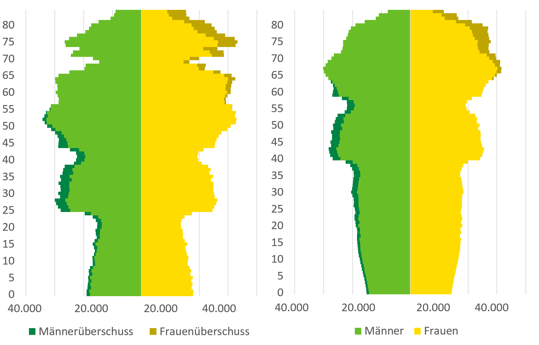 Die Abbildung stellt die im Text erläuterte Bevölkerungsstruktur von 2015 und 2030 dar.