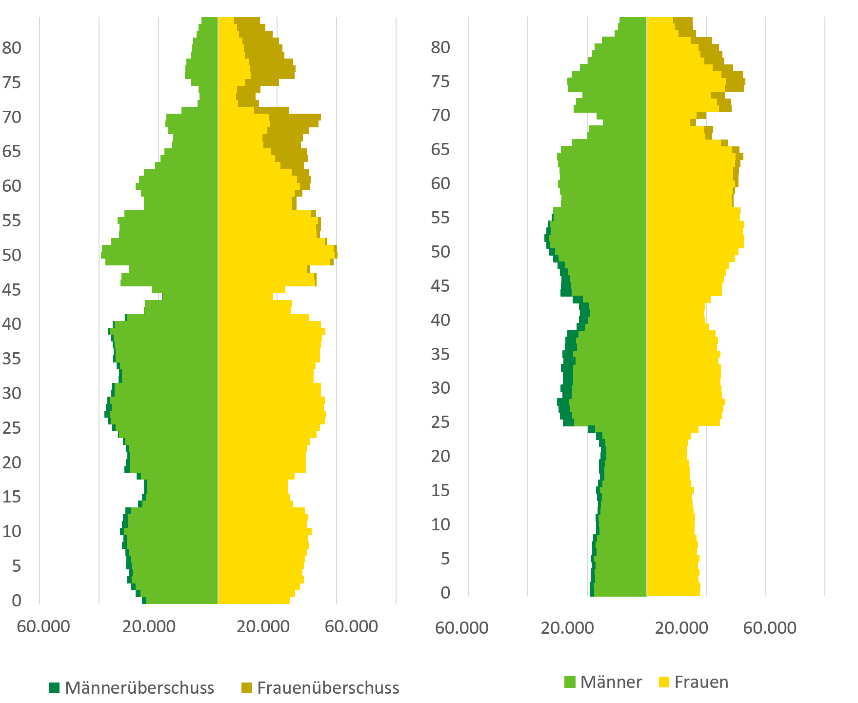 Die Bevölkerungspyramide zeigt die Altersstruktur der Gesamtbevölkerung von 1990 im Vergleich zu 2015. Im Jahr 2015 existiert ein Männerüberschuss in der Bevölkerung unter 57 Jahren, während ab 57 Jahren ein zunehmender Frauenüberschuss besteht.