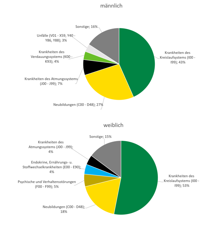 Die Grafiken stellen die im Text dargelegten häufigsten Todesursachen dar.